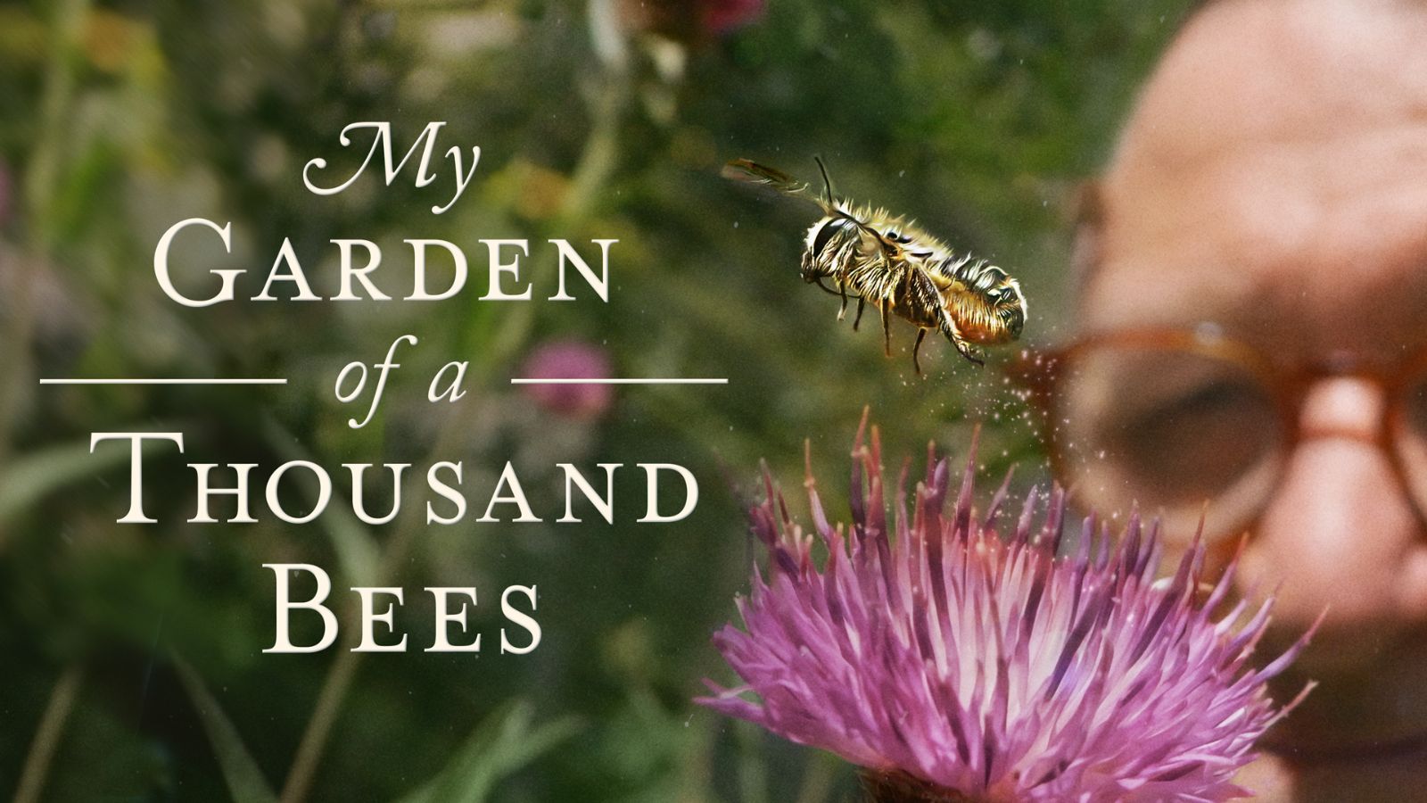 My Garden of a Thousand Bees