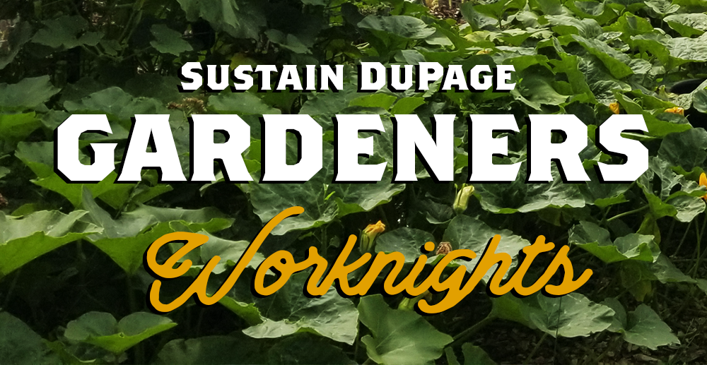 Sustain DuPage Gardener's Worknights