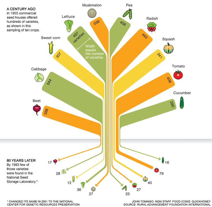Graph showing loss in seed diversity in food crops