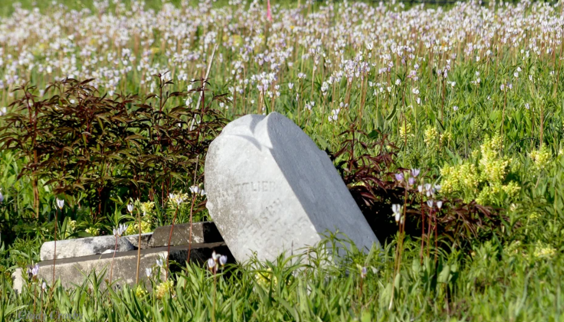 Vermont%20cemetery%20Prairie.png