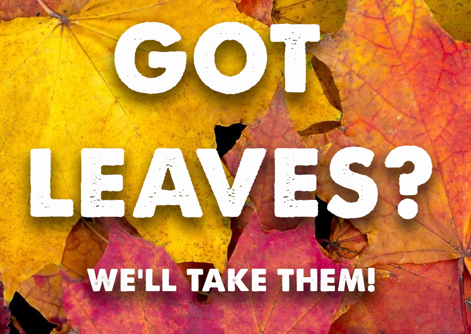 Got Leaves?