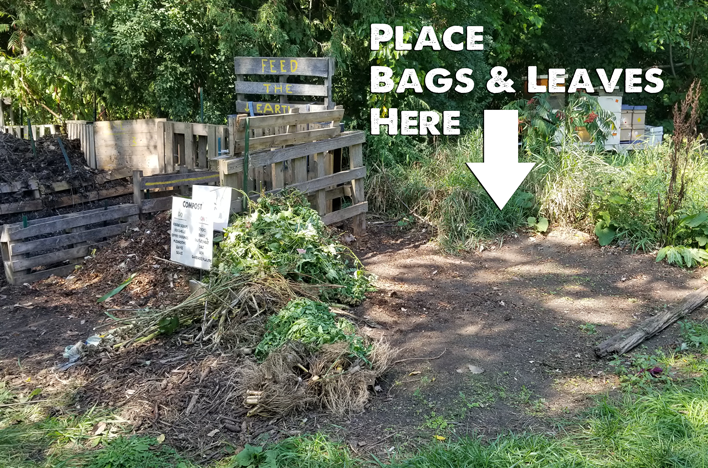 Picture of dumping area for leaves next to compost bins